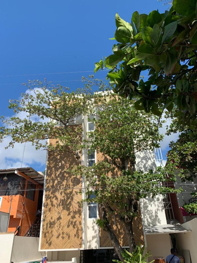 oOstel Smart Hostel - Tulum Pueblo Exterior foto